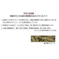 デグーセレクション 国産 400g（200g×2袋）1袋 イースター
