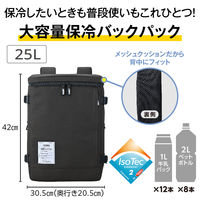 保冷バックパック 25Ｌ オールブラック RFP-025 ALB 1個 保冷バッグ リュック サーモス