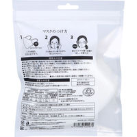 日翔 彩(SAI) 立体カラーマスク やや大きめ ホワイト×グレー 10枚入 4570084520979 1袋（直送品）