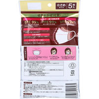 阿蘇製薬 デルガード プレミアムマスクα 小さめサイズ 5枚入 4970883013465 1袋（直送品）