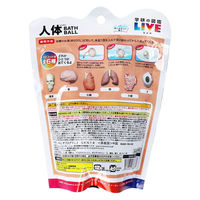 ノルコーポレーション 学研の図鑑ライブ 人体バスボール 甘くやさしい香り 90g 1回分 GKN-14-01 1袋（直送品）