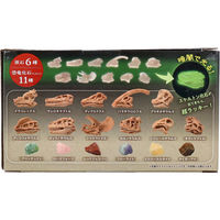 ノルコーポレーション 遊んで学べる科学おもちゃ 宝物発見シリーズ 恐竜発見 1セット TKZ-39-01 1箱（直送品）