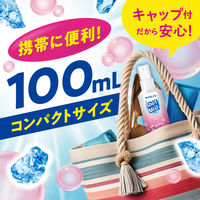 白元アース アイスノンシャツミストせっけんの香り 100mL 02433ー0 1本 衣類冷感スプレー