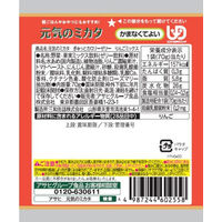 アサヒグループ食品 元気のミカタ ぎゅっとカロリーゼリー りんごミックス 介護 栄養補給 1個