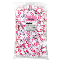 暑さ対策 塩分チャージ 1kg 梅 塩飴 1セット（1個×3）