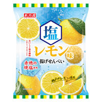 暑さ対策 塩分チャージ 塩レモン味 揚げせんべい 52g 1セット（1個×12）