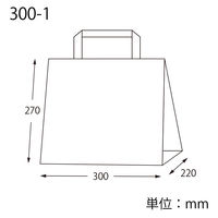 【紙手さげ袋】FLAT　エコアッシュ 300-1　アスクル限定カラーハンドル　1袋(25枚入) オリジナル
