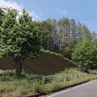 トラスコ中山 TRUSCO 周りの景色と調和する景観配慮型防草シート 7年タイプ 1.0m×50m ブラウン TBO7-1050-BR 1巻（直送品）