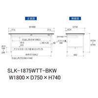 実験用作業台/耐荷重150kg 固定式H740mm ワイド引き出し+足元全面棚付き 耐薬品ケミテクト天板 ワークテーブルLABシリーズ SL（直送品）