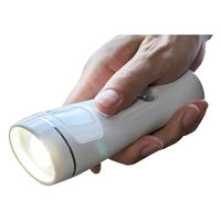 太知ホールディングス マルチセンサーライト KBN-504 1台（直送品）