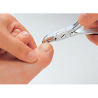 アーネスト 関の匠技 つめ切りニッパ 65674 1個（直送品）