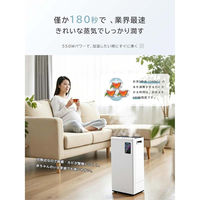 ケイ・エス・ケイ 20L 蒸気加湿器 H20 1台（直送品）