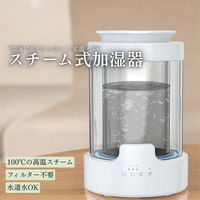 ケイ・エス・ケイ スチーム式加湿器 大容量 3L JS03 1台（直送品）