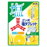 タブレット 三ツ矢塩タブレット 1セット（1個×12）