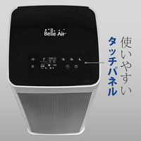 グリーンコアテック 静電気フィルタ式空気清浄機 ダブルセンサー搭載(Co2、PM2.5) BA-400 1台（直送品）