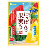 飴 個包装 お配り菓子 にっぽんの果実のど飴 スイカとパイナップル 1セット(1個×6)