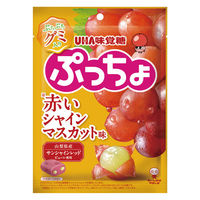 ソフトキャンディ ぷっちょ　赤いシャインマスカット味 1セット(1個×12)
