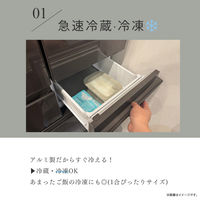保存容器 600ml 調理可能 食洗機対応 グリーン ズボラ 1個 冷凍・冷蔵OK 電子レンジ・オーブン・ガス火OK 谷口金属