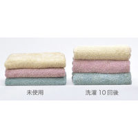 日繊商工 フェイスタオル 1062-017 CE1022 1個（直送品）