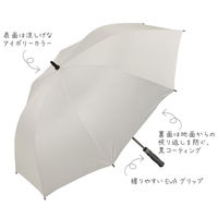 カワセ レジャーアンブラ BD-5 1本（直送品）