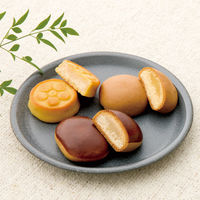 河内駿河屋 銘菓撰 MK-15 1個（直送品）