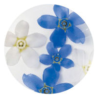 山勝 美濃陶苑 ゆらりグラスペアA FY-3003A 1個（直送品）