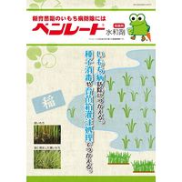 住友化学 ベンレート水和剤 100g #2056814 1袋
