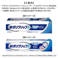 入れ歯安定剤 部分用 総入れ歯用 新ポリグリップS お口さわやかミント味 40g Haleonジャパン