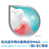 ポリデント デンタルラボ 薬用ハミガキ【医薬部外品】 歯周病 (歯肉炎・歯槽膿漏) 予防 100g Haleonジャパン