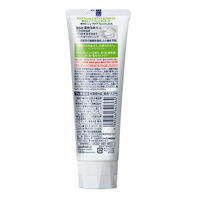 アクアフレッシュ ホワイト&プロテクト W プレミアムミント 140g 1本 Haleonジャパン 歯磨き粉