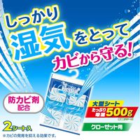 ドライ&ドライUP 除湿剤 シートタイプ クローゼット用 2シート入 1個 白元アース