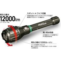 イチネンアクセス マストツール 充電式フラッシュライト 12000lm 87259 MFL-12001R 1個（直送品）