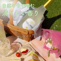 スパークリングワイン カフェ・ド・パリ ブラン・ド・フルーツ グリーンアップル 750ml 1本 フランス ペルノ・リカール
