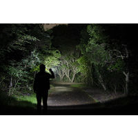 ジェントス Gシリーズ 100m防水ハイブリッドLEDハンディトーチ GF-116RG 1個