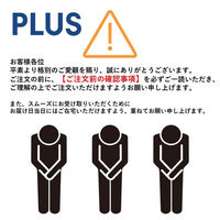 【組立設置込】プラス L6(エルロク) 両開き保管庫 L6-G40AR 幅800×奥行400×高さ400mm ブラック 1台（直送品）