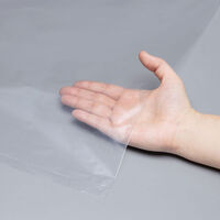 アスクル ゴミ袋 スーパーエコノミー 省資源タイプ 透明 低密度 20L 厚さ0.022mm 1パック（100枚入） オリジナル（わけあり品）
