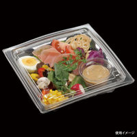 エフピコ サラダ容器 APアーチ19-19(40) 本体 エコ 7R086199 1袋(50個)（直送品）