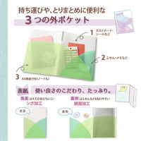 プラス PASTYクリアファイルA440ポケットマスカットグリーン 98415 1袋（直送品）