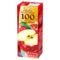 エルビー　Fruits　Selection　アップル100　200ml　2028　1箱（200ｍｌ×24本入）　パック飲料　りんご（わけあり品）