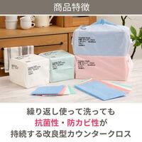 抗菌・防カビ カウンタークロス レギュラー 約30×60cm ホワイト 1パック（100枚入）帝人フロンティア オリジナル（わけあり品）