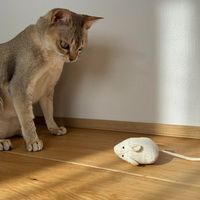 ぬいぐるみトイ ネズミ グレー×アイボリー 猫用 LAKOLE/ラコレ