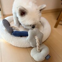 ぬいぐるみトイ ロープ グレー 犬用 LAKOLE/ラコレ