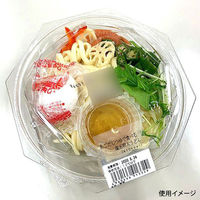 エフピコ 冷麺容器 APデリ八角-195-510(V) 本体 7R031951 1袋(50個)（直送品）