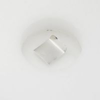 アズワン 分銅 Fー1級 JCSS校正証明書付 3-1587-14-24 1個（直送品）