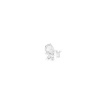 メルク 6ーwell Hanging Cell Culture Insert， 5.0 μm PET， 48/pk PTMP06H48 1個（直送品）