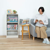 アストロ 新書版コミック/新書本 収納ケース 5枚組 167-51 1セット(1セット(5枚)×10)（直送品）