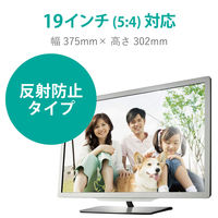 液晶フィルム PC タブレット 19インチ 反射・指紋防止 タッチパネル対応 EF-MF19N エレコム 1個