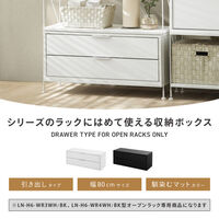 武田コーポレーション オープンラック専用 引き出しタイプ LN-H6-OHBK 1箱(1個入)（直送品）