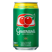 ガラナ アンタルチカ 350ml 1箱（24缶入）