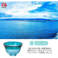 アデリア 津軽びいどろ あおもりの海盃津軽海峡 4963972798787 1個（直送品）